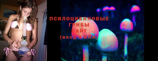 сатива Покровск