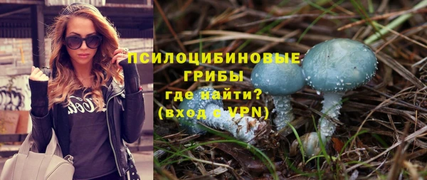 ALPHA PVP Покачи