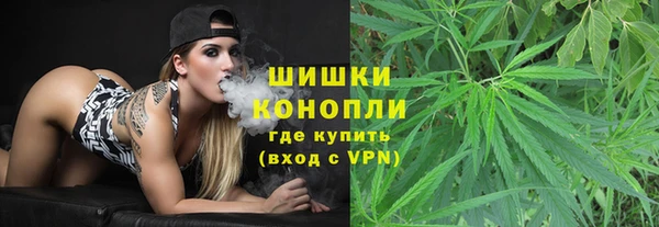 ALPHA PVP Покачи