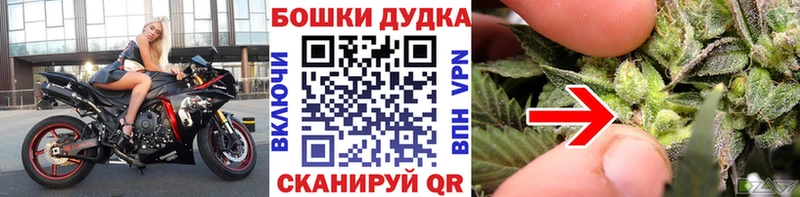 Купить где Талица Шишки марихуана THC 21%